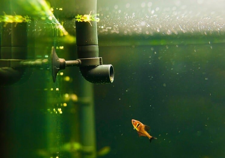水槽設備