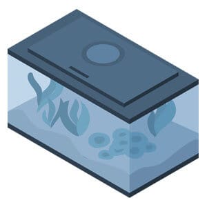 1つの金魚に最適