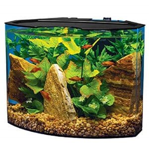 テトラクレセント水族館