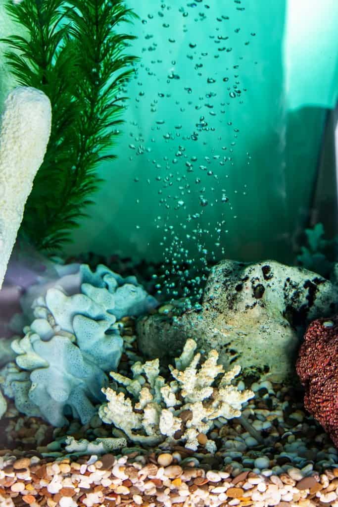 水族館の空気ポンプ