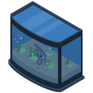 5ガロンの水槽