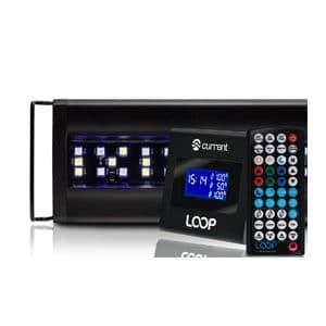 現在のLED照明