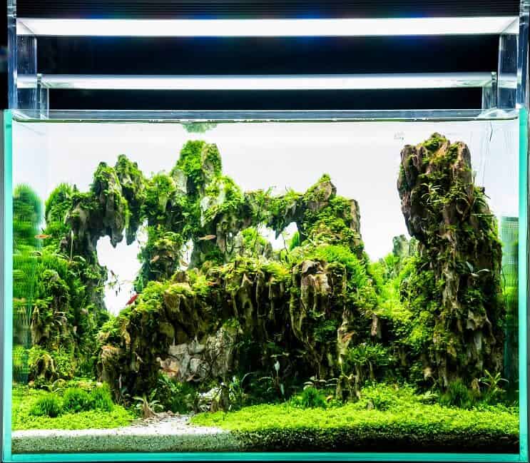 タンクのLED照明