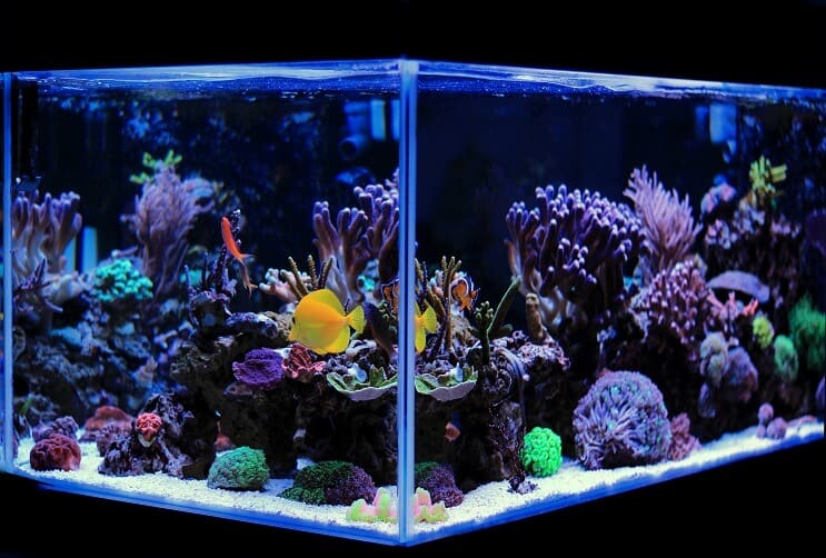 海水水族館