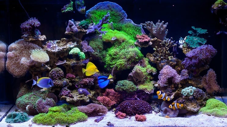 海水タンクの種類