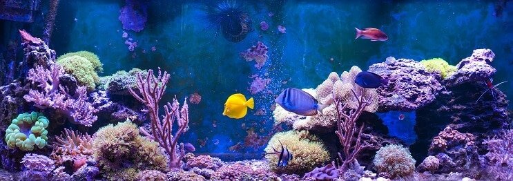 海水タンク