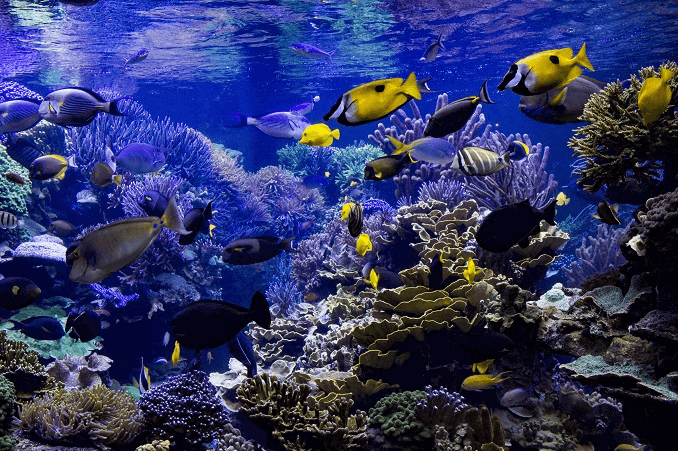 水族館