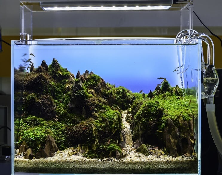 アクアスケープ水族館