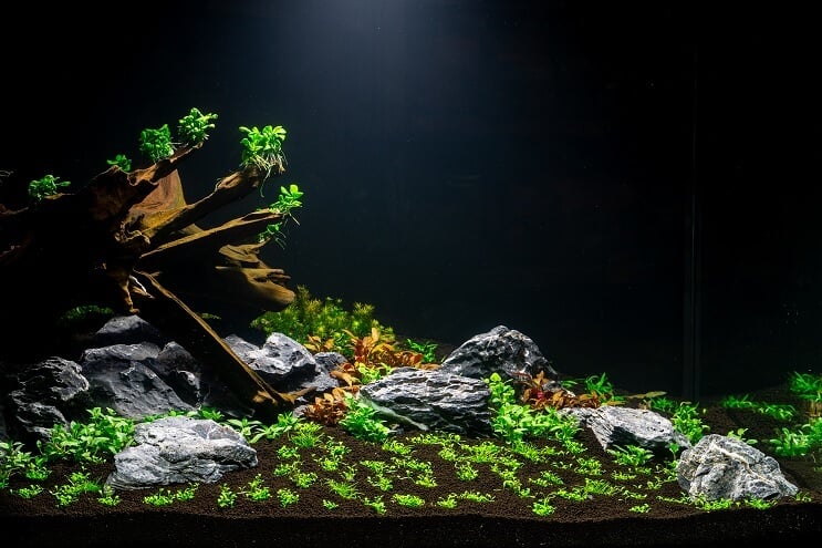 水族館の植栽